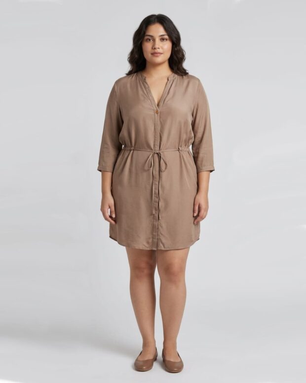 Classic shirt dress